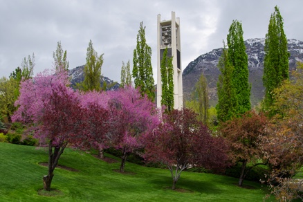 Carillon Concert